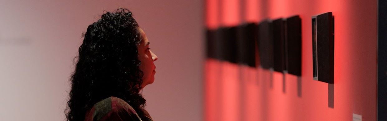 Hindi-Language Exhibition Tour: Hayley Millar Baker, Selected Works